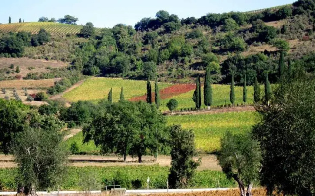 Podere Le Regole