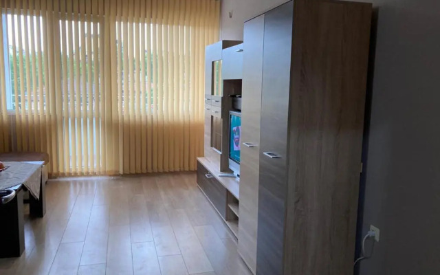 Tyulev apartment 2
