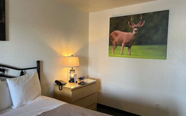 Antlers Inn