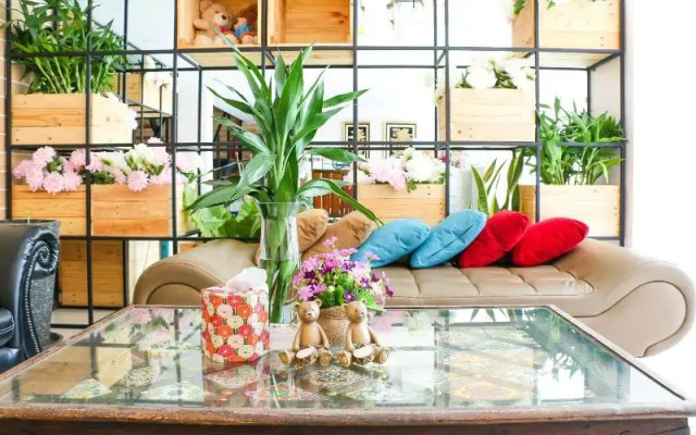 Little Bear S Home
