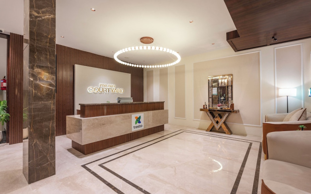 Treebo Premium Pine Tree Courtyard
