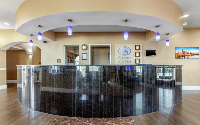Comfort Suites Smyrna - Nashville Area