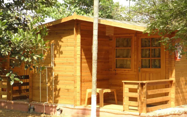 Villa 209 m from the center of Baga (563250)