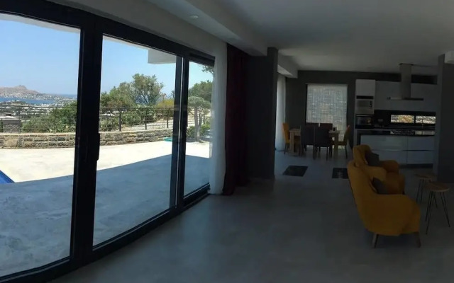 Villa VIP