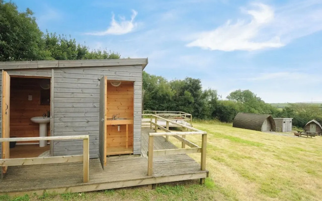 Sheep Shed @ Penbugle Organic Farm