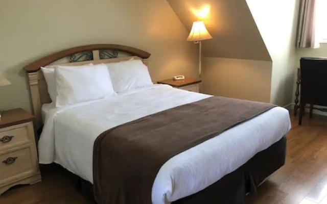 Adventure The Bruce Inn