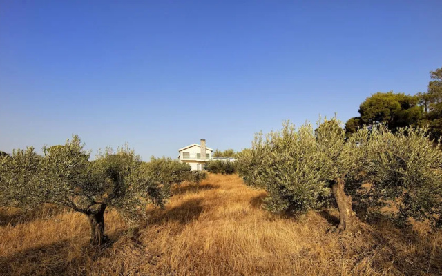Tramonto Di Olive Gorgeous Villa by VillaRentalsgr
