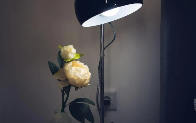 Studio apartmani Milović