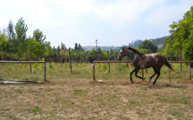 Quinta do Mosteiro