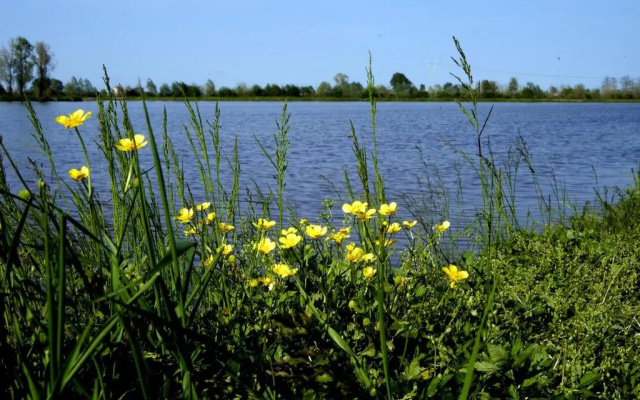 Villa Peschiera