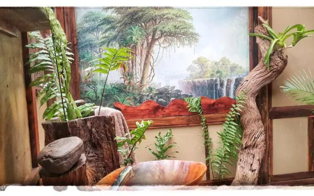 Chinderera Eco Lodge
