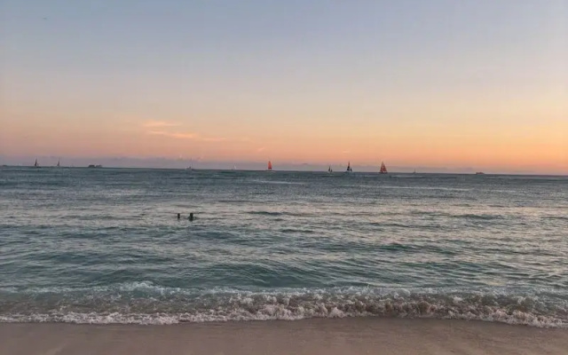 Sip And Sea
