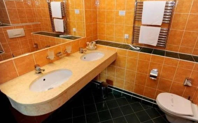 Romantic Hotel Mlýn Karlstejn