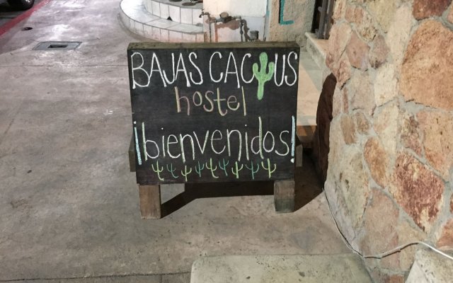 Baja's Cactus Hostel Мексика, Кабо-Сан-Лукас - отзывы, цены и фото номеров - забронировать отель Baja's Cactus Hostel онлайн вид на фасад