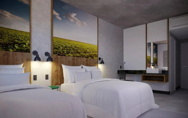 Campos De Holambra Inn