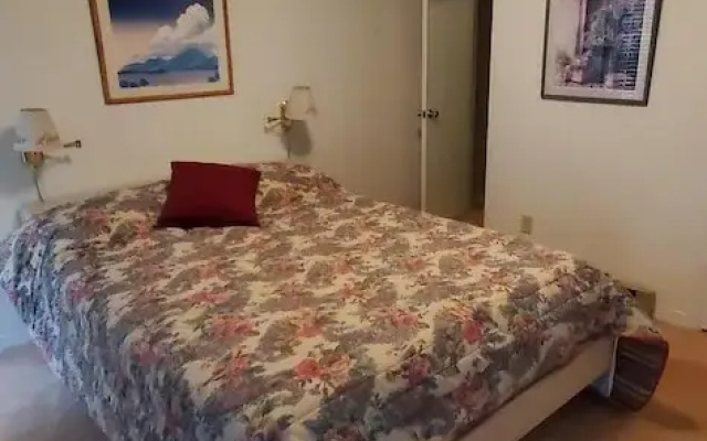 ChileDrop 2