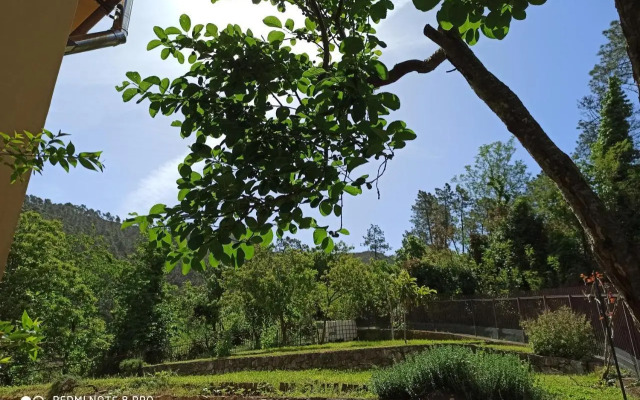 Bed & Breakfast Le Cicale E la Formica
