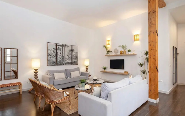 Wonderful Duplex Located in the Center of Malaga. Larios II