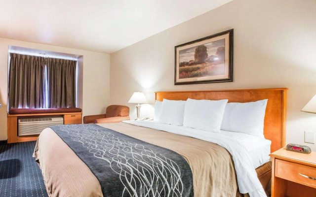 Comfort Inn & Suites Salinas City Center Area