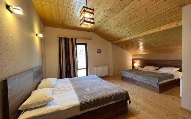 Отель Axien Kazbegi