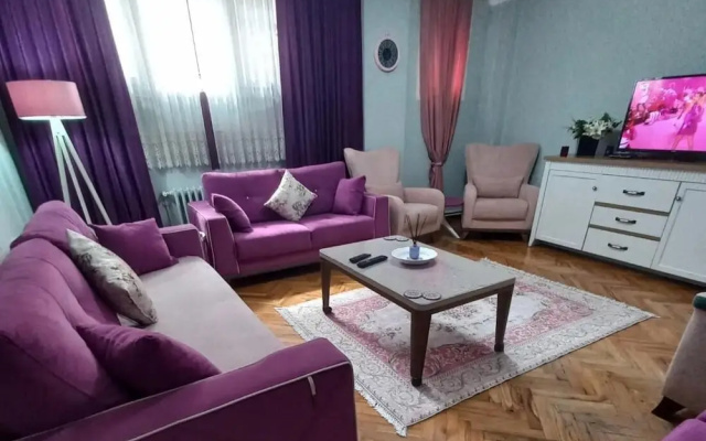 Grand Appartement 2-1