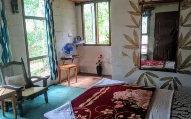 Jungle Jive Treehouse