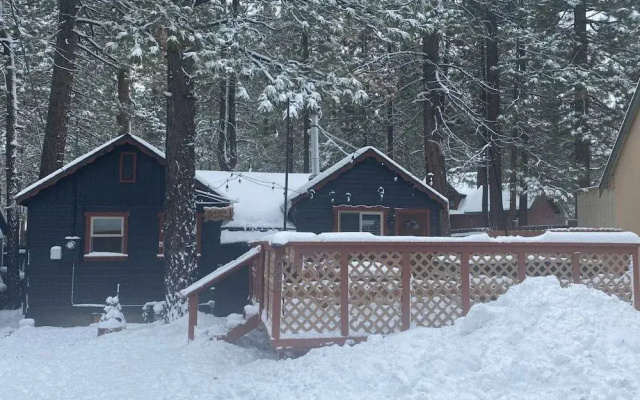 Chip O Wood Cabin