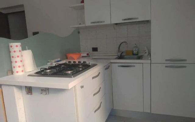 Zampino 49
