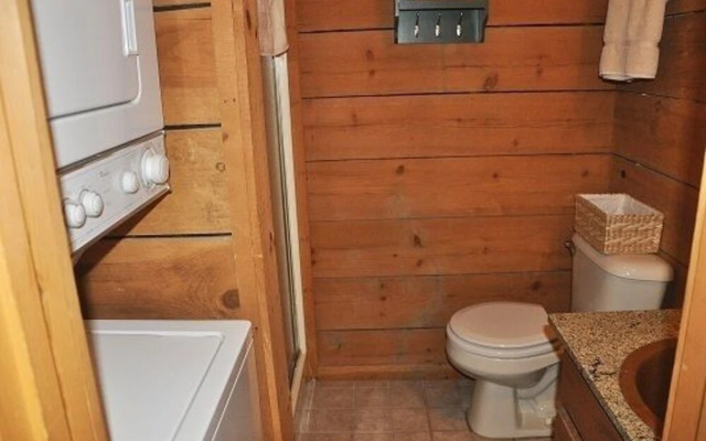 Mountain Bearadise 2 Bedrooms 2 Bathrooms Cabin