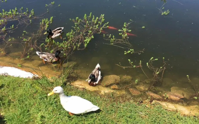 Quinta das Mineirinhas Apartamentos Turisticos
