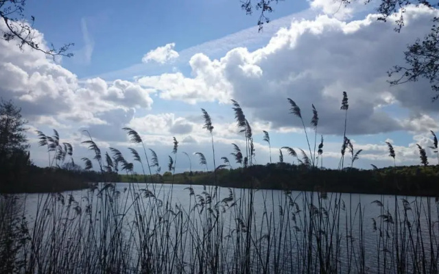 Schloonseevilla mit Tiefgarage - 200 m zum Strand