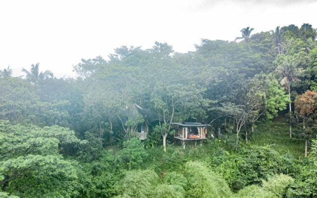 Bird Hills Bamboo House