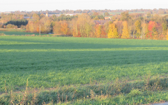 Chambre D'hôtes La Basse Gougeonnière