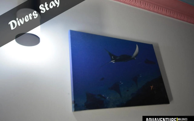 Aquaventure Manta Lodge - Scuba Divers