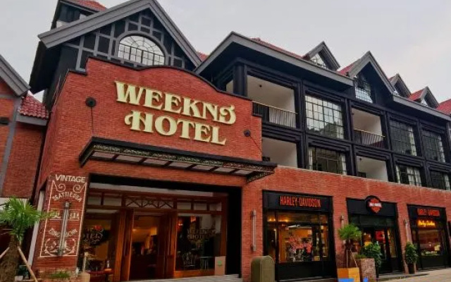 Busy koala Weeknd Hotel