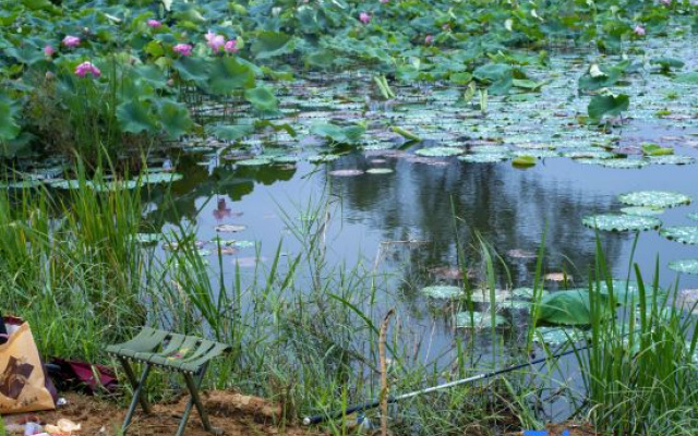 Xiangwang Lake View Vacation Homestay (Puzhehei Scenic Area Branch)