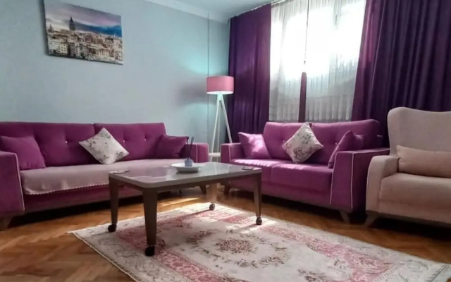 Grand Appartement 2-1