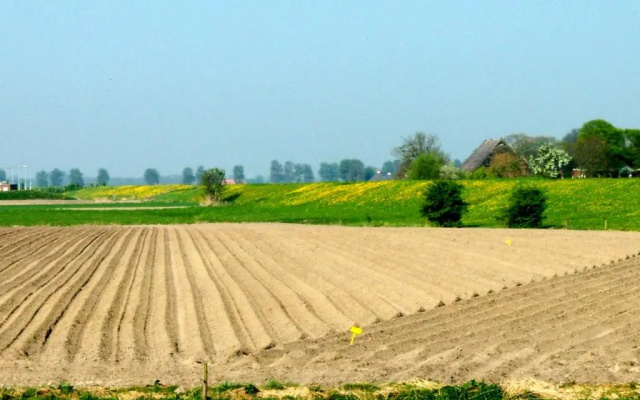 de Twee Paardjes