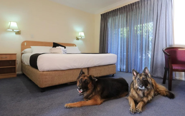 Comfort Inn Bushman's