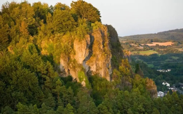 Cozy Apartment in Niederehe Eifel near Forest