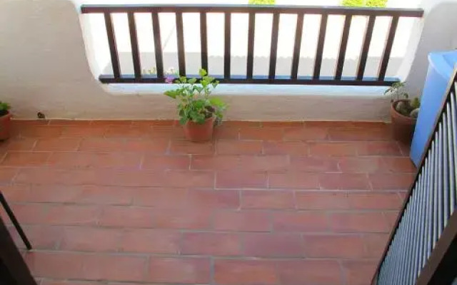Els Vents