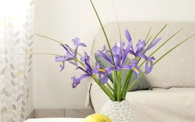 Apartments Franica