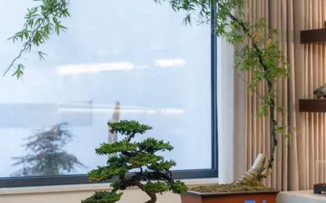 Yi  Hao   Mei    Ju