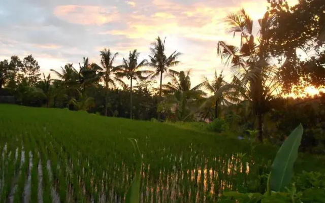 Villa Jasmine B&B