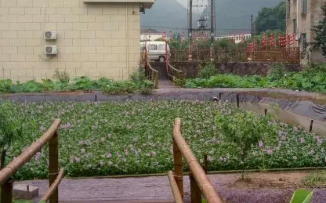 Xinchang makes great use of people's farm life
