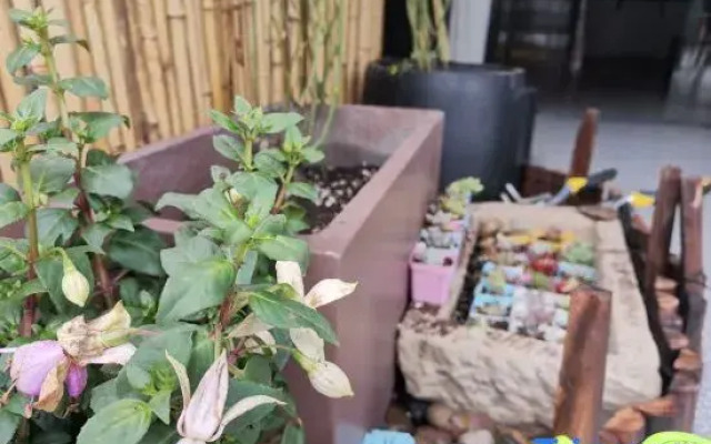 Hangzhou Unseeing Shanshan Homestay