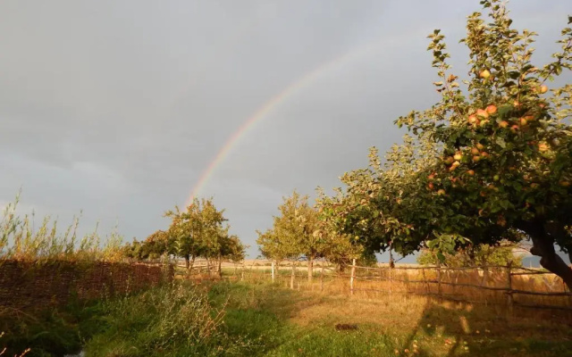 Jurten Camp Almaluu