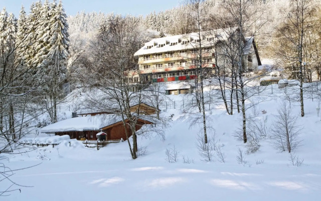 Waldhaus am See