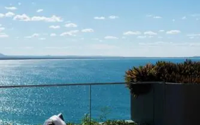 Hastings Park Penthouse 6