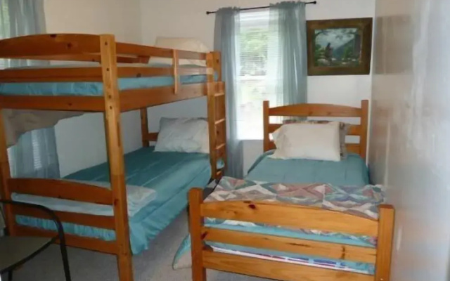 Mountain_roots_lodging